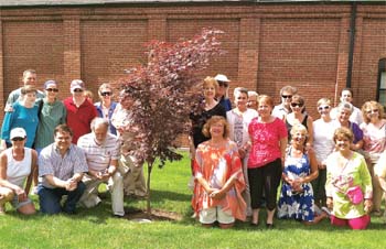Tree Dedication