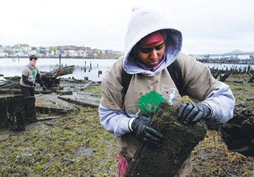 Residents Come Out to Clean City